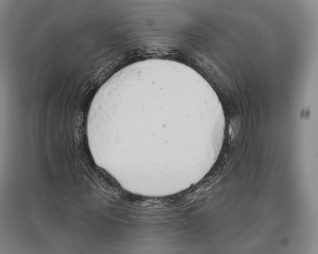X0000096630867200803041102
