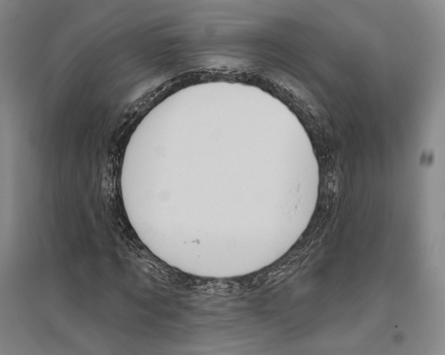 X0000096630869200803041102