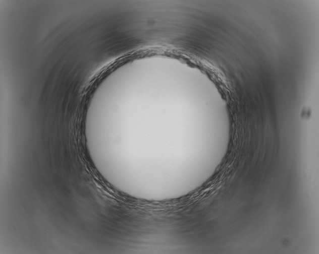 X0000096630872200803041102