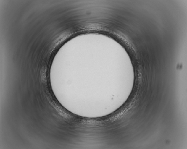 X0000096630873200803041102