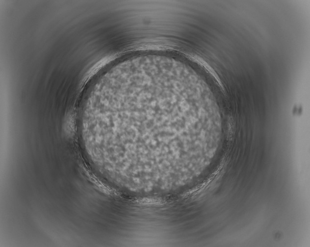X0000096630874200803041102