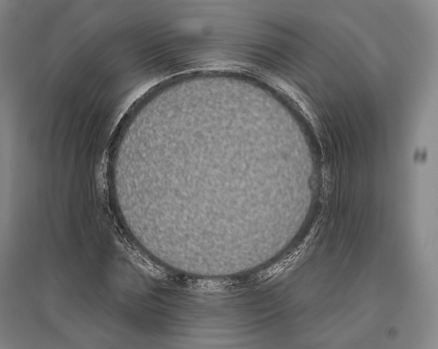 X0000096630875200803041102