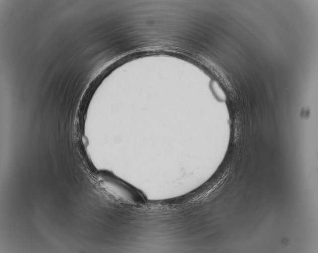 X0000096630876200803041102