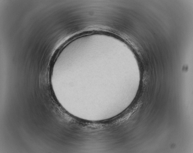 X0000096630877200803041102