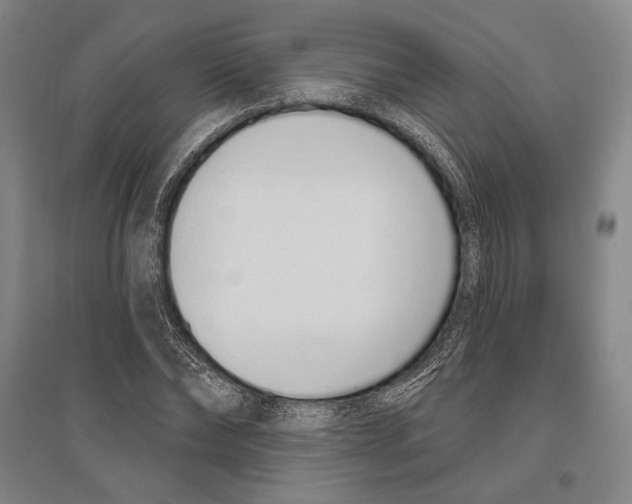 X0000096630878200803041102