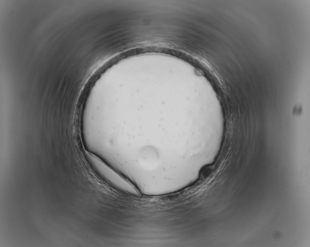 X0000096630879200803041102