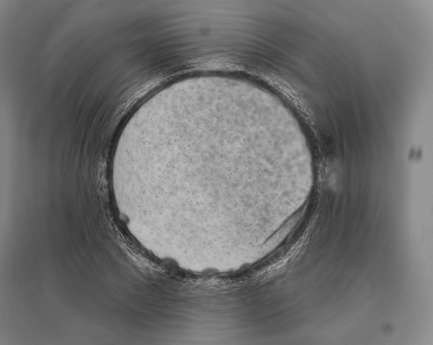 X0000096630881200803041102