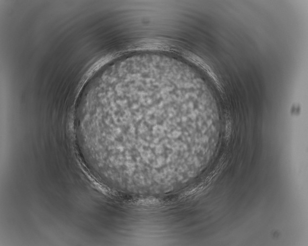 X0000096630882200803041102
