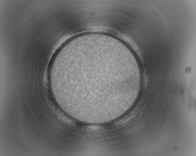X0000096630883200803041102