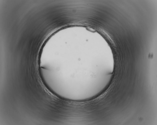 X0000096630884200803041102
