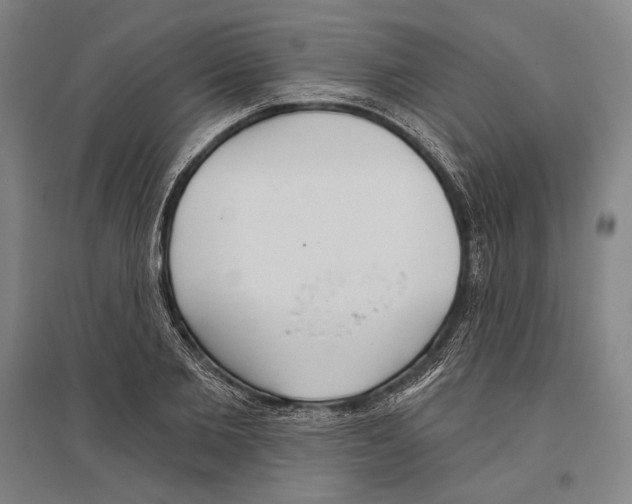 X0000096630885200803041102