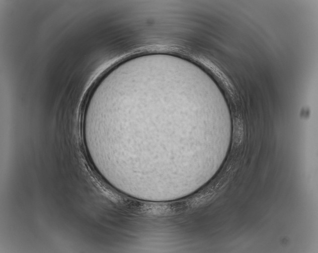 X0000096630886200803041102