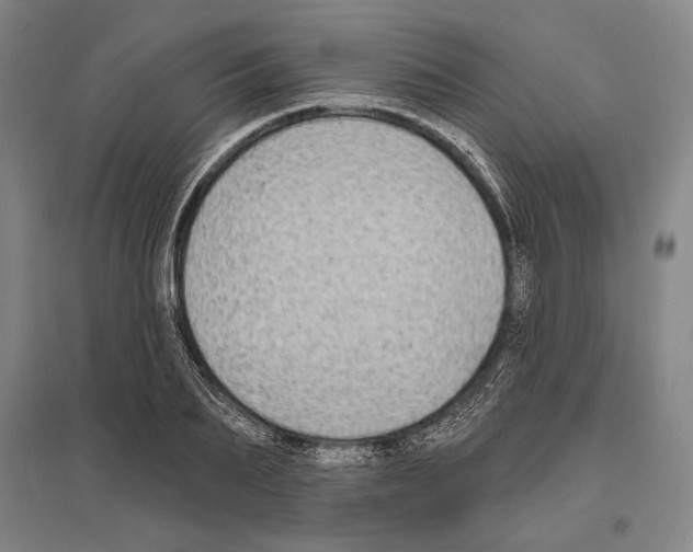 X0000096630887200803041102
