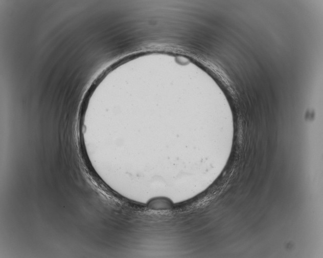 X0000096630888200803041102