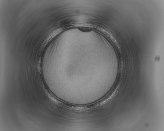X0000096630889200803041102