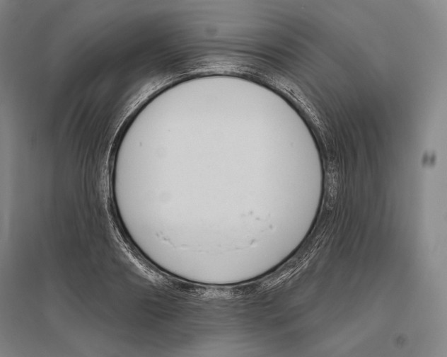 X0000096630890200803041102