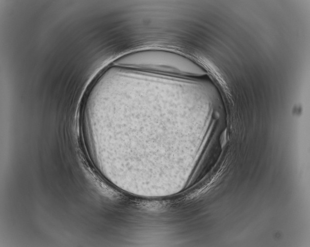 X0000096630892200803041102