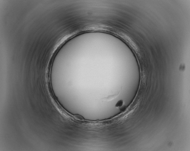 X0000096630893200803041101