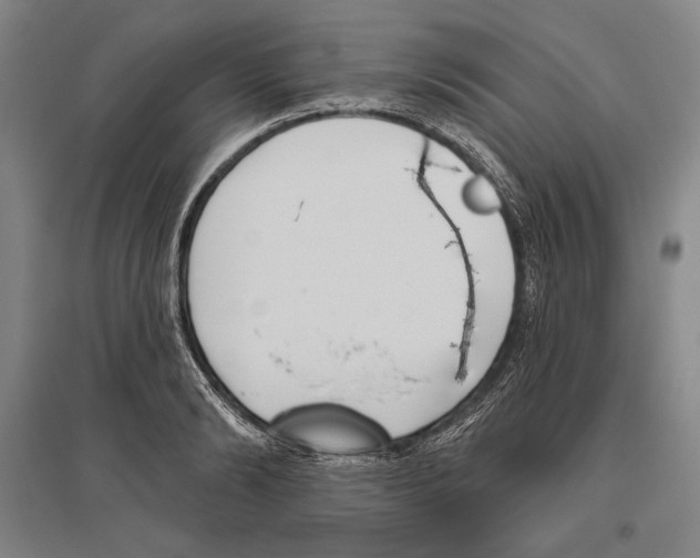 X0000096630894200803041101