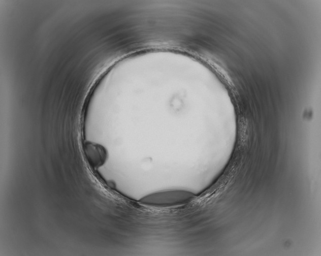 X0000096630895200803041101