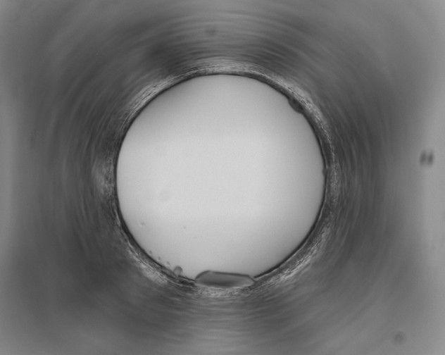 X0000096630897200803041101