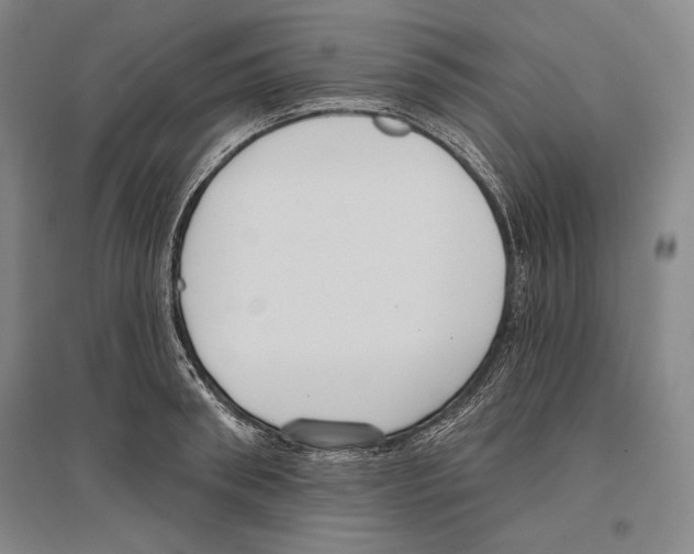 X0000096630898200803041101