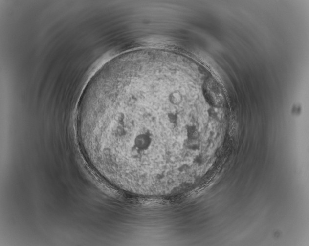 X0000096630899200803041101