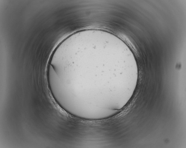 X0000096630900200803041101
