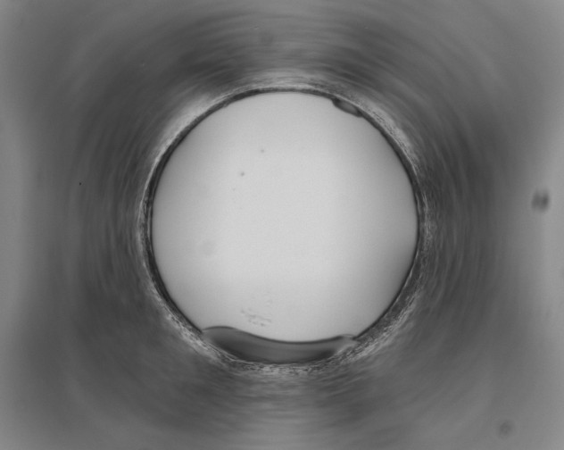 X0000096630901200803041101
