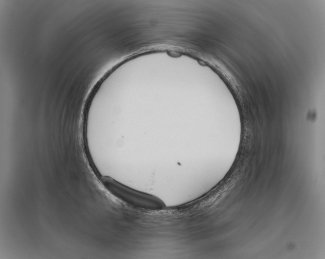 X0000096630902200803041101