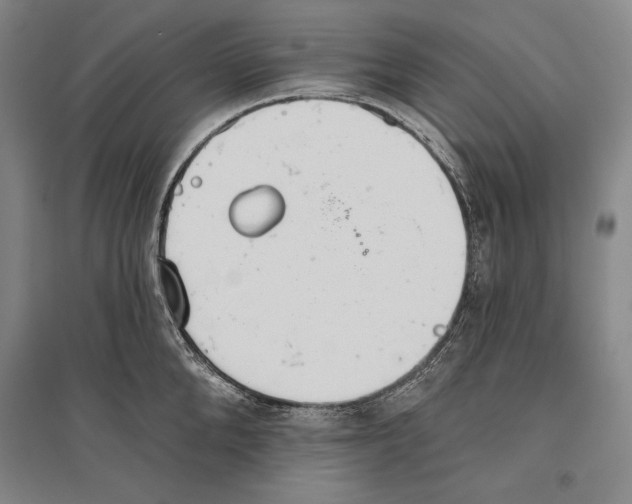 X0000096630904200803041101