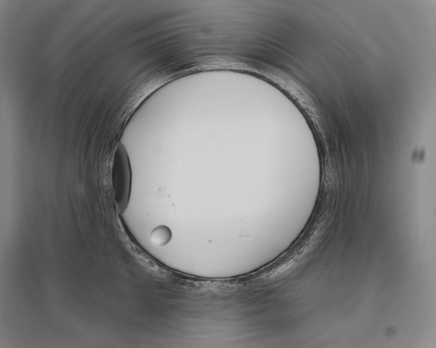 X0000096630905200803041101