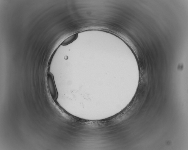 X0000096630906200803041101