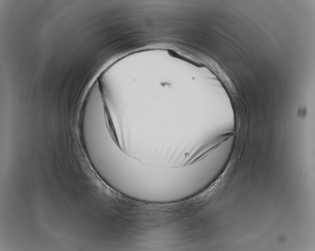 X0000096630908200803041101