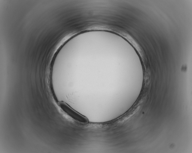 X0000096630909200803041101