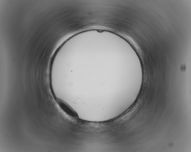 X0000096630910200803041101
