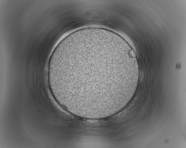 X0000096630911200803041101