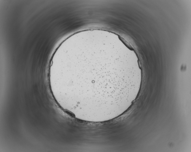X0000096630912200803041101