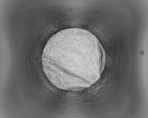 X0000096630913200803041101