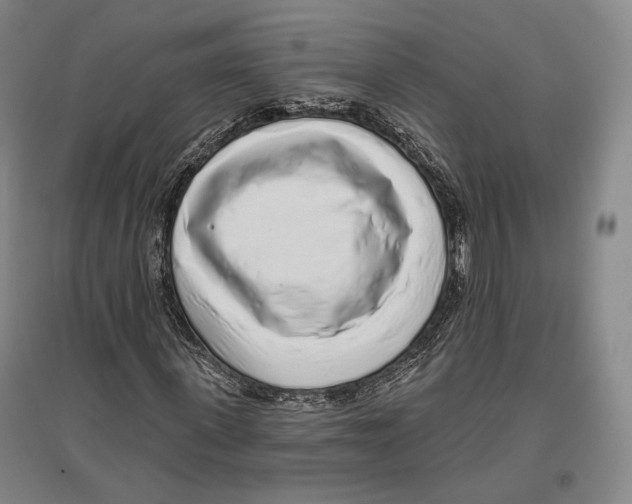 X0000096630915200803041101