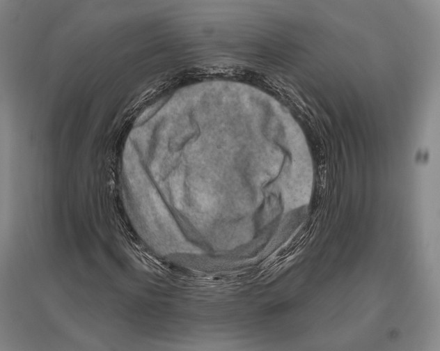 X0000096630916200803041101