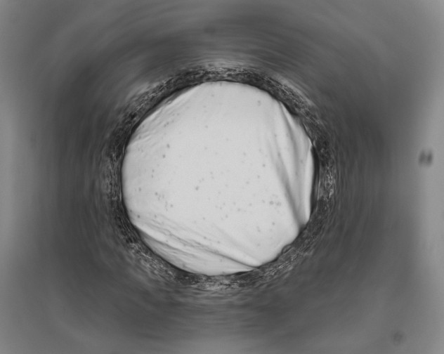 X0000096630917200803041101