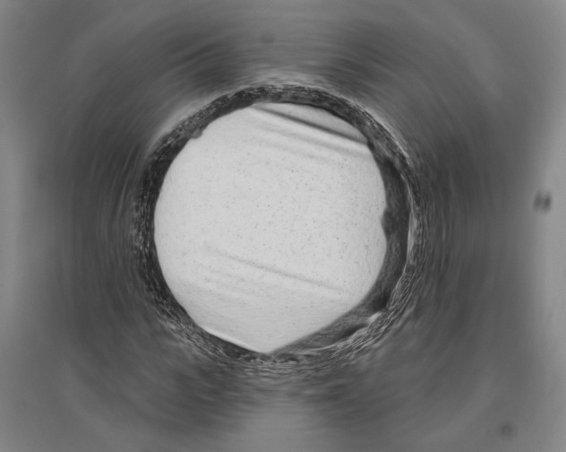 X0000096630919200803041101