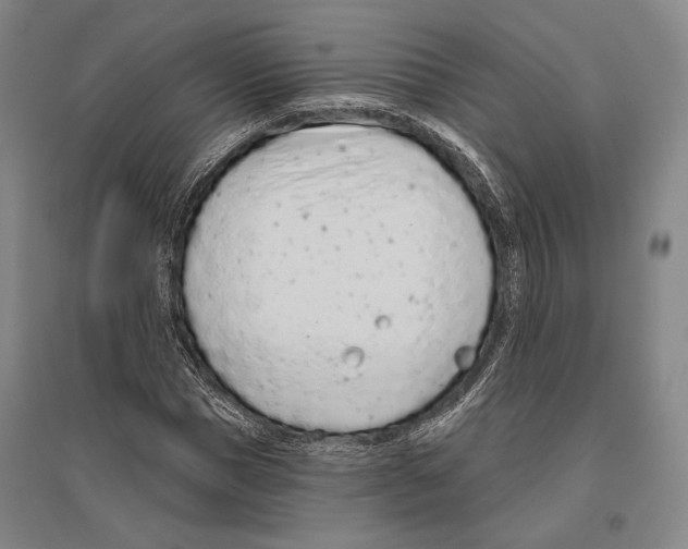 X0000096630921200803041101