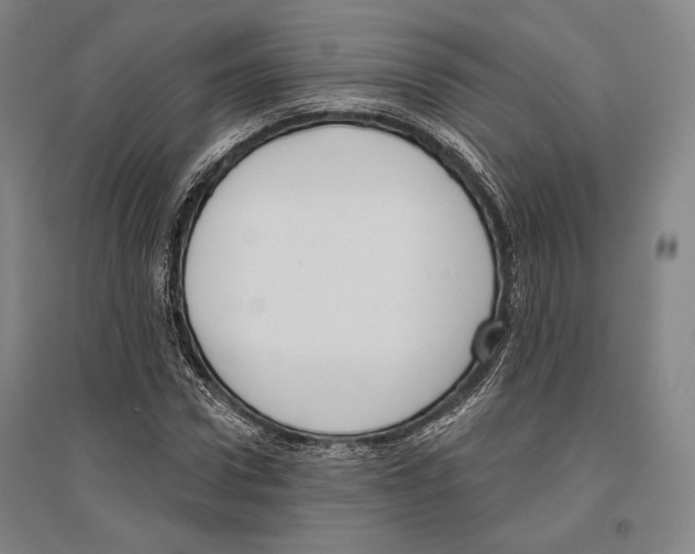 X0000096630922200803041101