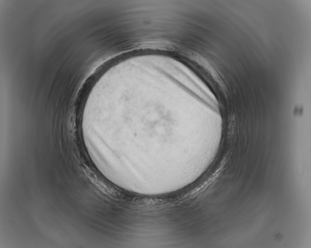 X0000096630923200803041101