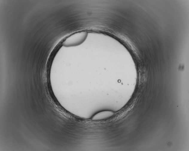 X0000096630924200803041101