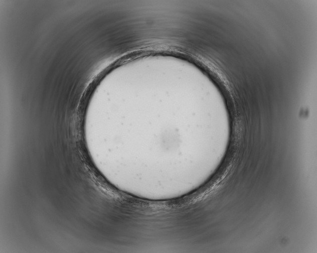 X0000096630925200803041101