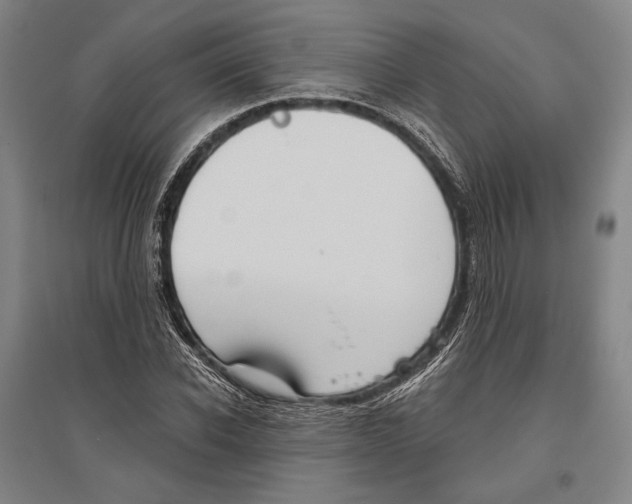 X0000096630926200803041101