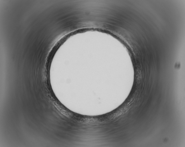 X0000096630927200803041101